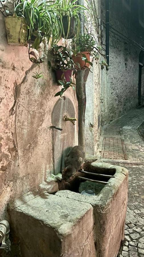 Le Petit Bijou Di Dolceacqua, Per Un Momento Romantico Eksteriør bilde